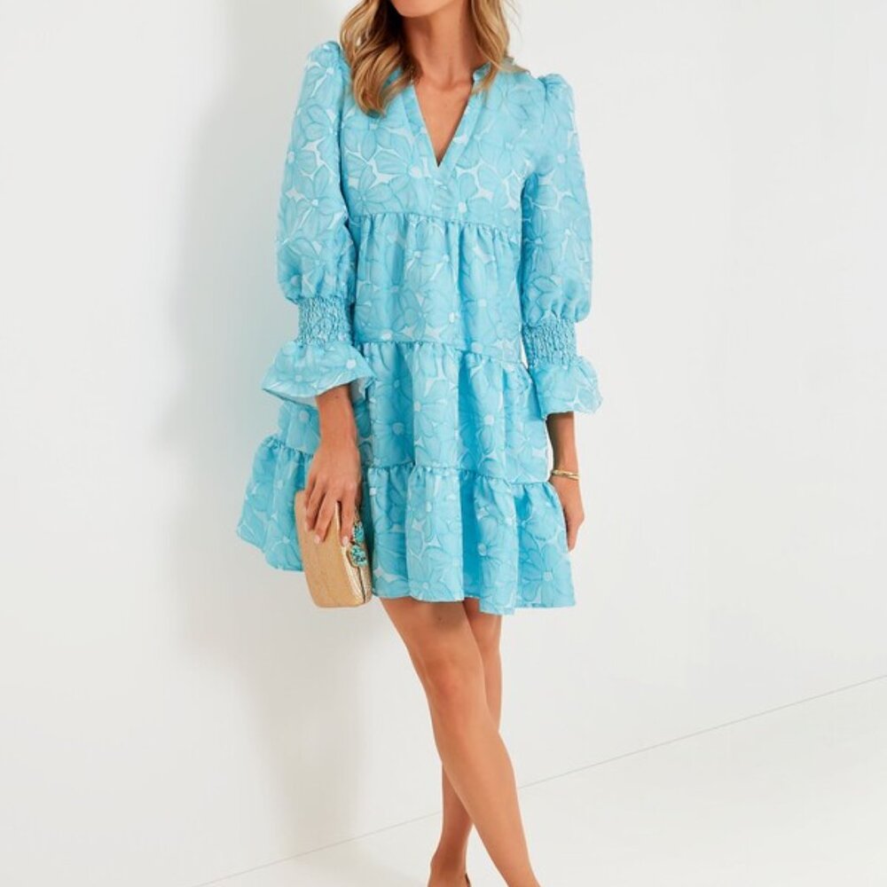 Pomander Place/Tuckernuck Blue Floral Mini Dress
